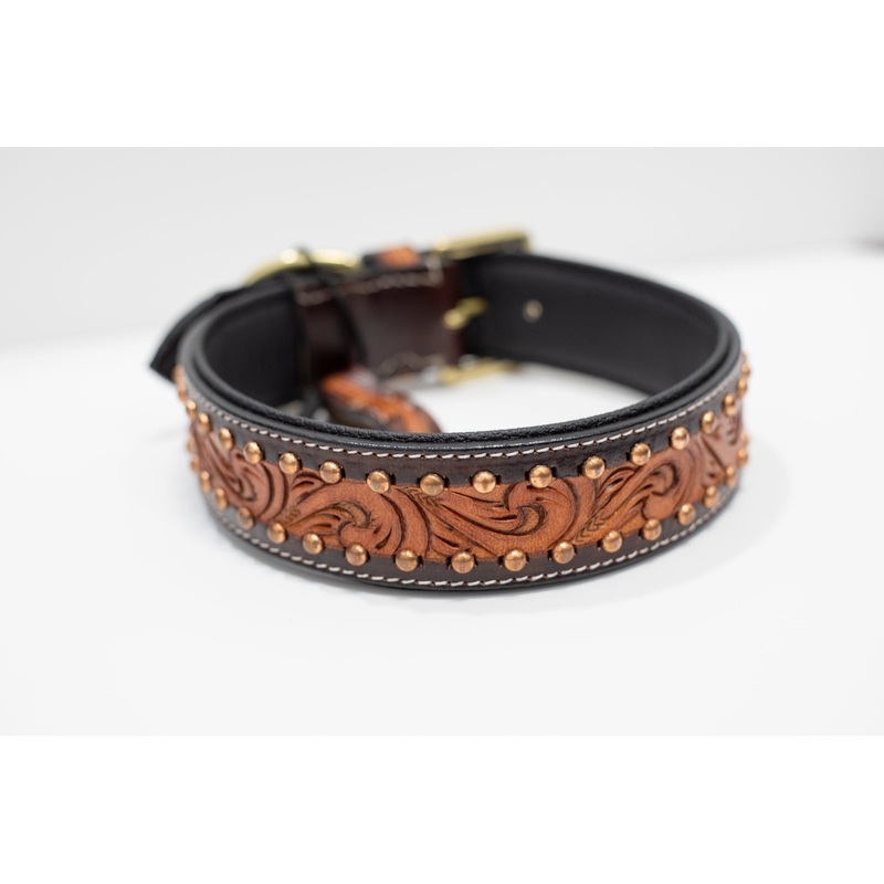 Adjustable Designer Padded Leather Dog Collar