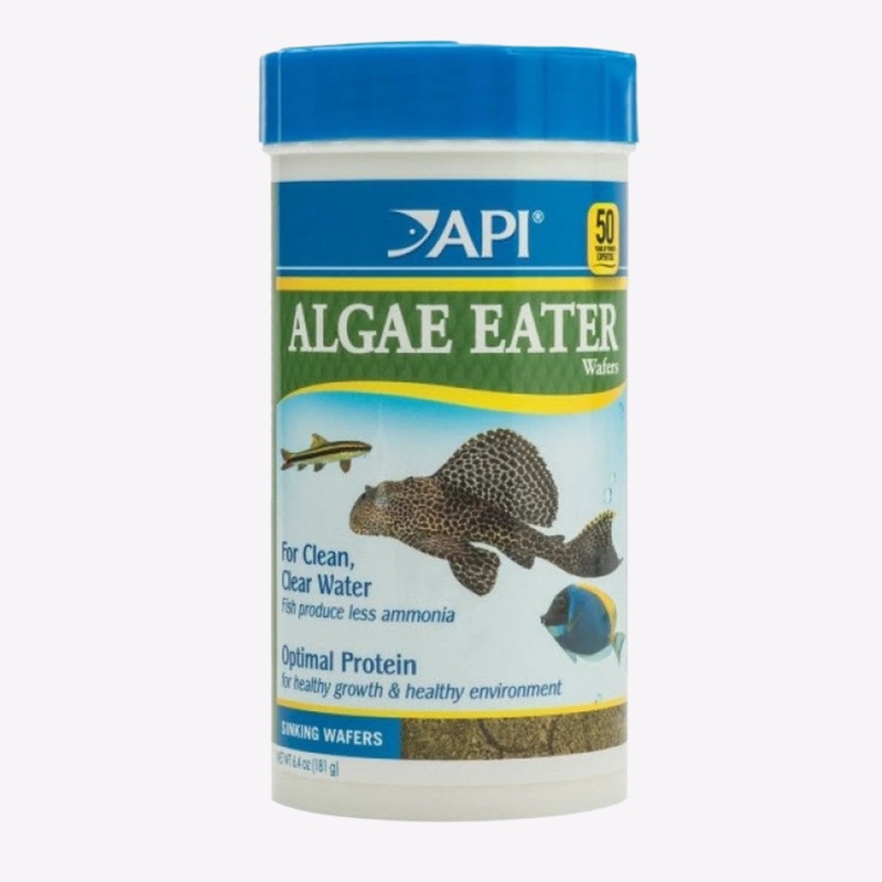 API Algae Eater Wafers Fish Food – 6.4oz